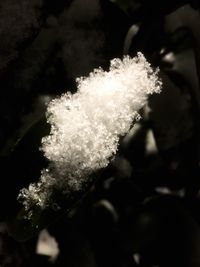 Close-up of water at night