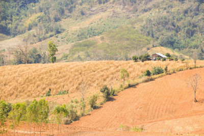 View of rural landscape