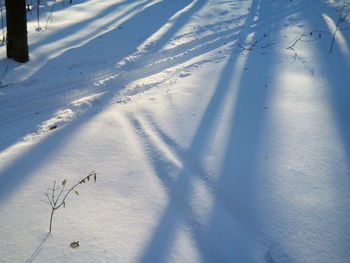 Aerial view of snow