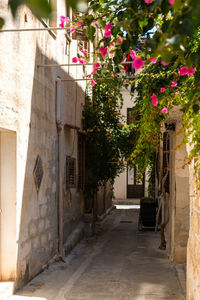 Alley amidst buildings in city
