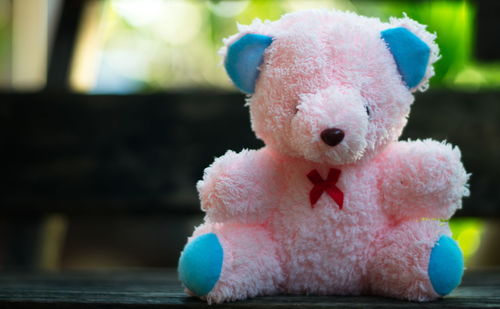 Close-up of stuffed toy