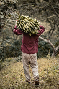 Man carrying bananas in peru