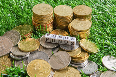 Close-up of coins with text on grassy field