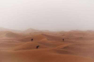 Scenic view of desert against clear sky