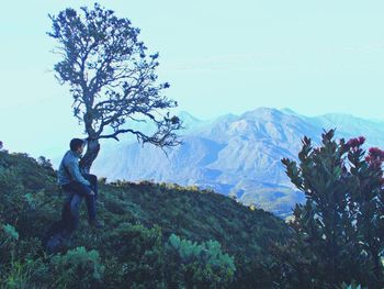 Side view of woman with tree against sky