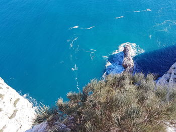 High angle view of rocks on beach