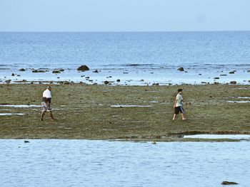 Man standing on beach