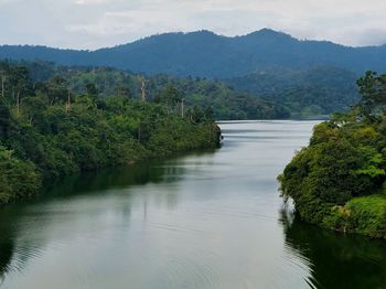 Scenic view of river amidst trees against sky