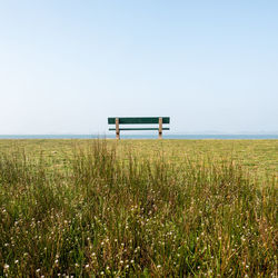 Scenic view of field against clear sky