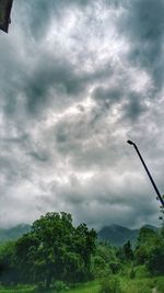 Low angle view of trees against cloudy sky