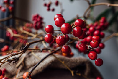 Close-up of cherries on tree