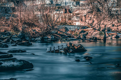 Bare trees by river during winter