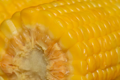 Full frame shot of corn on the cob