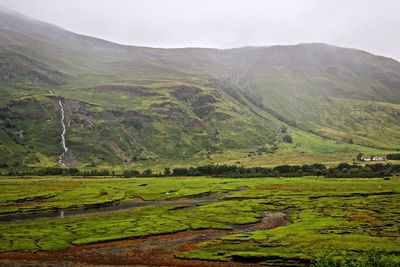 Scenic view of green mountain in foggy weather