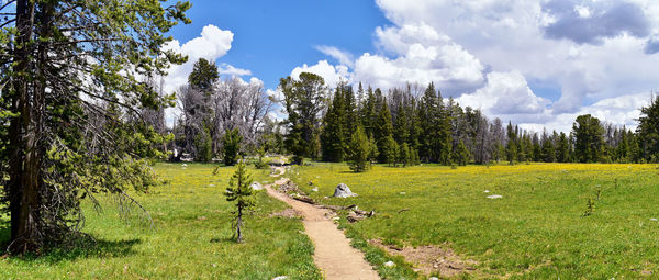 Wind river range, rocky mountains, wyoming, views from backpacking hiking trail to titcomb basin