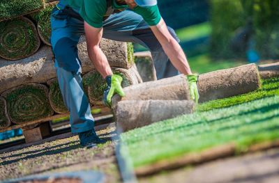 Low section of man rolling turf