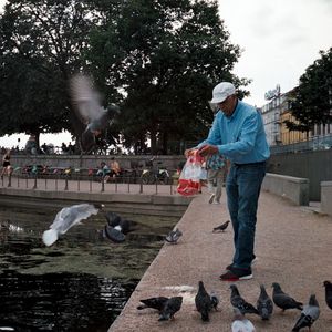 Full length of men with birds on shore against trees