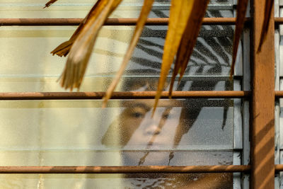 Boy looking through glass window