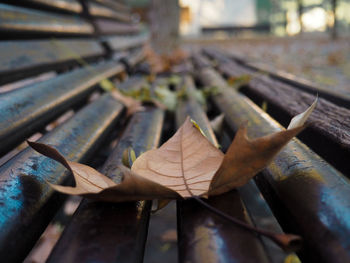 High angle view of rusty metal on wood