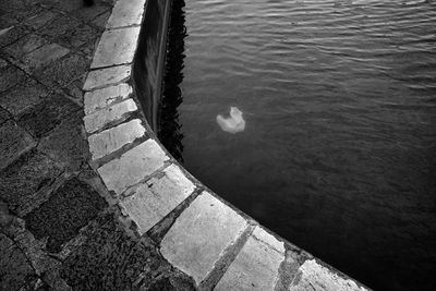 High angle view of duck swimming on lake