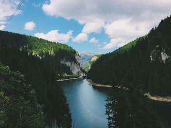 Scenic view of lake by trees against sky