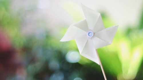 Close-up of white pinwheel toy outdoors