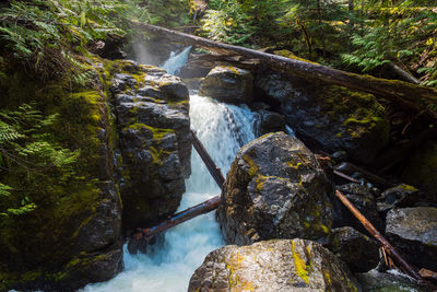 Scenic view of waterfall in forest