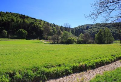 Scenic view of landscape against clear sky