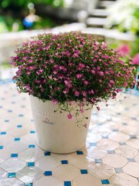 Close-up of pink flower pot on table