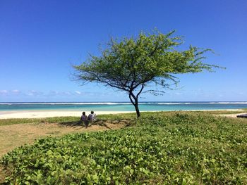 Scenic view of sea against clear sky