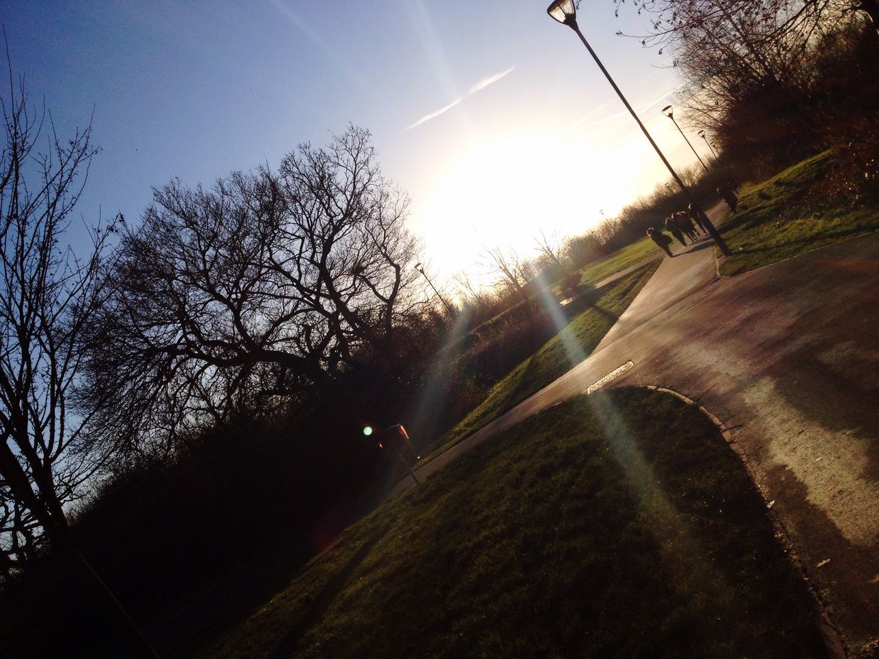 sun, sunlight, sunbeam, tree, lens flare, tranquility, silhouette, sunny, sky, nature, tranquil scene, beauty in nature, clear sky, branch, bright, scenics, bare tree, outdoors, growth, shadow