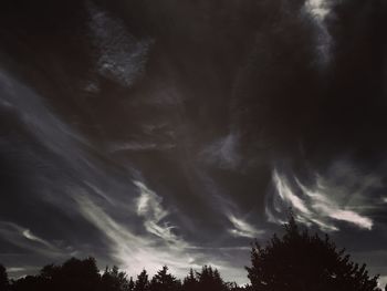 Low angle view of trees against cloudy sky