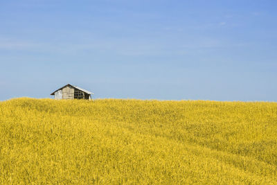 Yellow house on field against sky