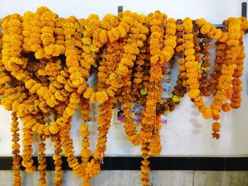 Close-up of yellow flower hanging on plant
