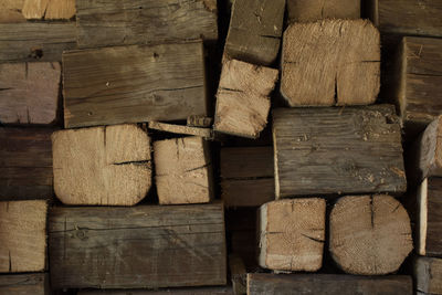 Stack of wooden logs in forest
