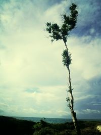 Scenic view of landscape against cloudy sky