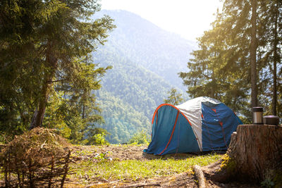 Tent in forest