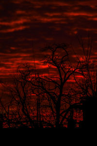 Silhouette bare trees against orange sky