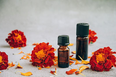 Close-up of red flowers on table