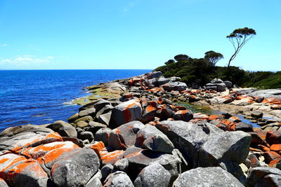 Scenic view of sea against clear blue sky