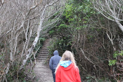 Rear view of people walking on street amidst trees in forest