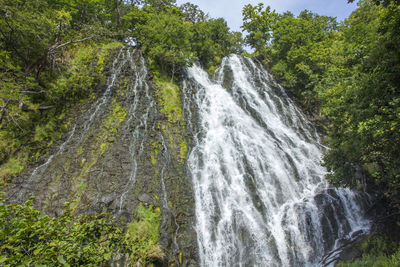 Low angle view of waterfall in forest