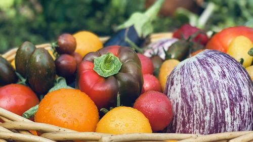 Close-up of vegetables