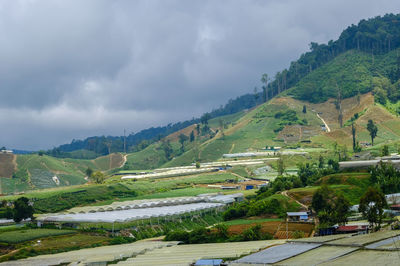 Scenic view of landscape against sky