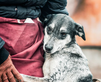 Midsection of person with dog