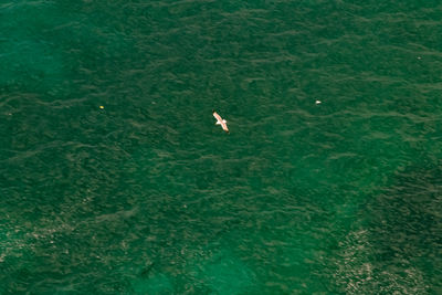 High angle view of water in pond