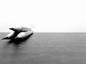 Close-up of food on table