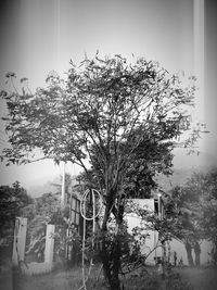 Low angle view of trees and building against sky