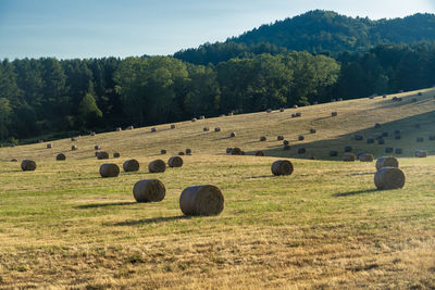 Hay bales on field against sky