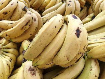 Close-up of bananas